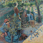 Camille Pissarro Apple Picking, 1886 oil painting reproduction
