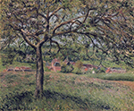 Camille Pissarro Apple Tree at Eragny, 1884 oil painting reproduction