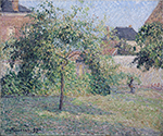Camille Pissarro Apple Tree in the Meadow, Eragny, 1893 oil painting reproduction