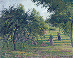 Camille Pissarro Apple Trees at Eragny, 1895 oil painting reproduction