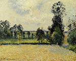 Camille Pissarro Field of Oats in Eragny, 1885 oil painting reproduction