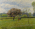 Camille Pissarro Flowering Apple Trees at Eragny, 1888 oil painting reproduction