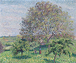 Camille Pissarro Great Nut-Tree in Spring, Eragny, 1894 oil painting reproduction