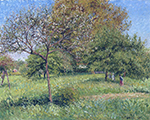 Camille Pissarro Great Nut-Tree, Morning, Eragny, 1901 oil painting reproduction