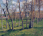 Camille Pissarro Meadow at Bazincourt, 1885 oil painting reproduction