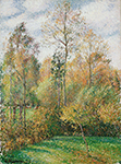 Camille Pissarro Poplars, Autumn, 1894 oil painting reproduction