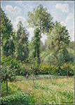 Camille Pissarro Poplars, Eragny, 1895 oil painting reproduction