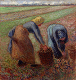 Camille Pissarro Potato Harvest, 1885 oil painting reproduction