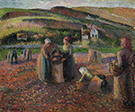 Camille Pissarro Potato Harvest, 1893 oil painting reproduction