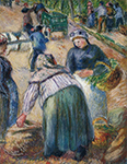 Camille Pissarro Potato Market, Boulevard des Fosses, Pontoise, 1882 oil painting reproduction
