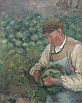 Camille Pissarro The Gardener, Old Peasant with Cabbage, 1883-89 oil painting reproduction