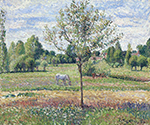 Camille Pissarro The Meadow with a Horse, Cloudly Weather, Eragny, 1893 oil painting reproduction