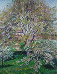 Camille Pissarro Wallnut and Apple Trees in Boom at Eragny, 1895 oil painting reproduction