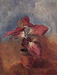 Odilon Redon Begonia in a Pot, 1910 oil painting reproduction