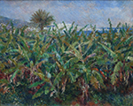 Pierre-Auguste Renoir Field of Banana Trees, 1881 oil painting reproduction
