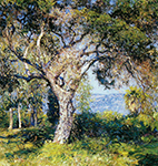 Guy Rose The Oak, 1916 oil painting reproduction