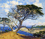 Guy Rose Monterey Cypress oil painting reproduction