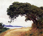 Guy Rose Point Lobos, Oak Tree oil painting reproduction