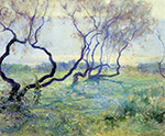 Guy Rose Tamarisk Trees in Early Sunlight oil painting reproduction