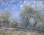 Alfred Sisley Apple Trees in Flower, 1880 oil painting reproduction