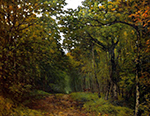 Alfred Sisley Avenue of Chestnut Trees near La Celle-Saint-Cloud oil painting reproduction