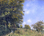 Alfred Sisley July Afternoon near the Forest, 1887 oil painting reproduction