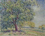 Alfred Sisley Nut Trees near Sablons oil painting reproduction