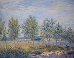 Alfred Sisley Poplars on a River Bank, 1882 oil painting reproduction