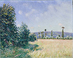 Alfred Sisley Sahurs, Meadows in Morning Sun, 1892 oil painting reproduction