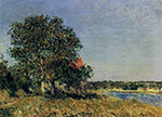 Alfred Sisley The Plain of Thomery and the Village of Champagne oil painting reproduction