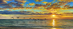 Seascape   painting for sale TSS0089