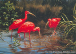 Scarlet Ibis painting for sale