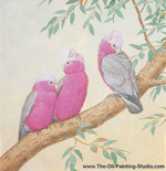 Galah Cockatoos in Eucalyptus painting for sale
