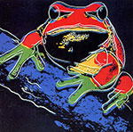 Andy Warhol Pine Barrens Tree Frog oil painting reproduction