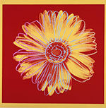 Andy Warhol Daisy oil painting reproduction