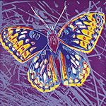 Andy Warhol San Francisco Silverspot Butterfly oil painting reproduction