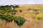 William Merritt Chase Landscape Near Coney Island oil painting reproduction